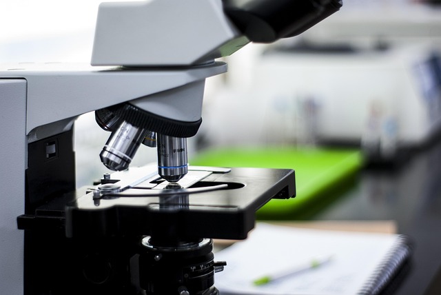 聚氨酯胺類催化劑,確保聚氨酯泡沫具有均勻細密的泡孔和結構穩定性